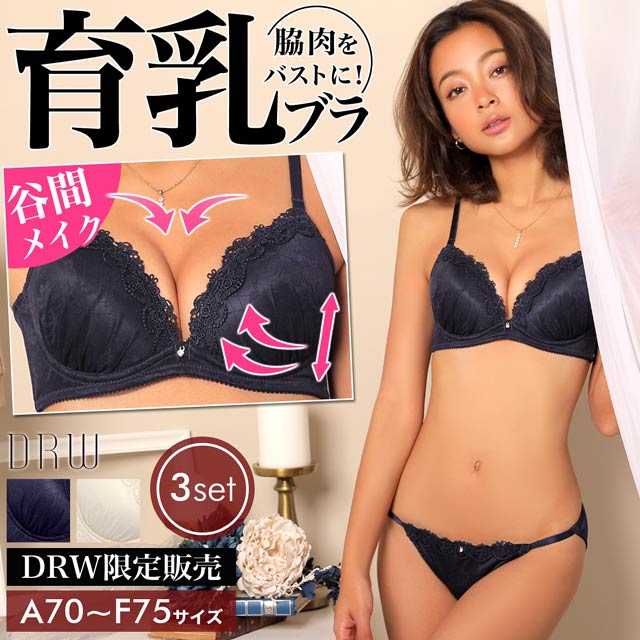 単品販売／受注生産 ブラジャー ショーツセット H70 3点セット×3set