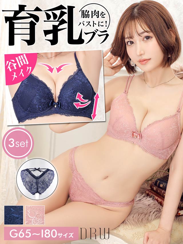 GHIサイズ】【3点セット】シンプルガーリーレース育乳脇高ブラジャー