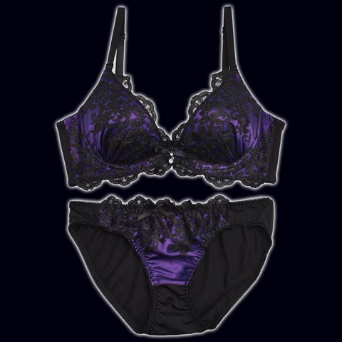 [美城れいか着用]ダマスクサテンレース育乳ブラジャー&フルバックショーツ[推し][人気]