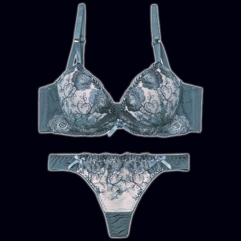 【Tバック】ローズチュールレース育乳脇高ブラジャー&Tバックショーツ[推し][人気]