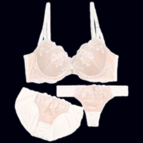 【EFサイズ】【3点セット】ブルーミングヌーディシアー育乳脇高ブラジャー&フルバック&Tバックショーツ[推し]