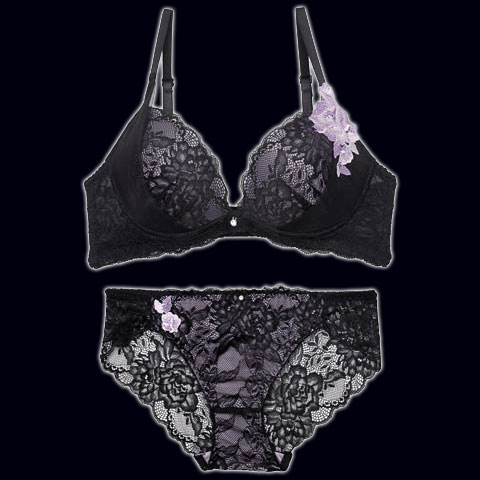 クラシックレーシィローズブラジャー&バック透けフルバックショーツ[推し][人気]