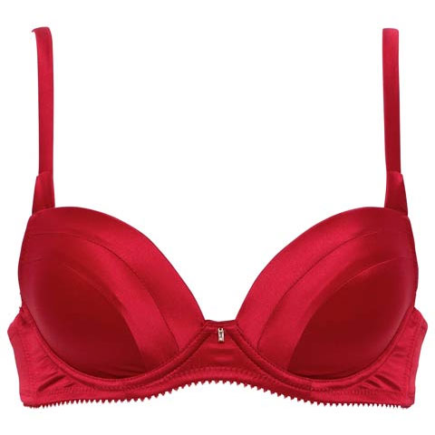 Silk Grace Bra シルクグレースブラ / RED