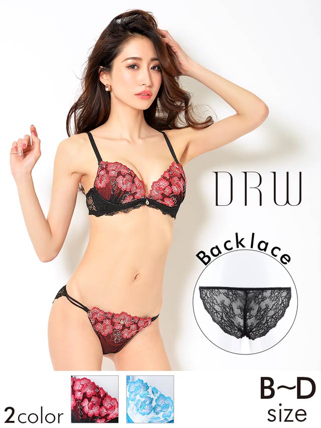 Regalo】レーシィーブルーム刺繍ブラジャー&バック透けフルバック