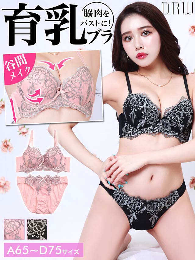 シルバーゴシックエンブロイダリー育乳脇高ブラジャー&フルバック