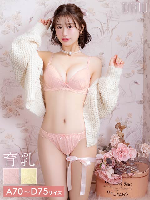 プリマヴェーラローズ育乳脇高ブラジャー&フルバックショーツ