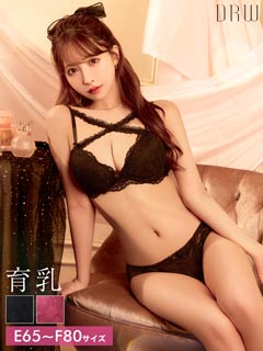 【EFサイズ】【三上悠亜着用】ロマンティックレーシィクロス育乳脇高ブラジャー&バック透けフルバックショーツ[推し]