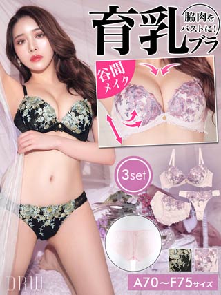 エレガントフラワーレース育乳脇高ブラジャー&フルバック&Tバックショーツ