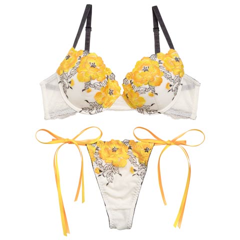 Reinest】ヴィンテージフラワーレースブラジャー&バック透けTバック
