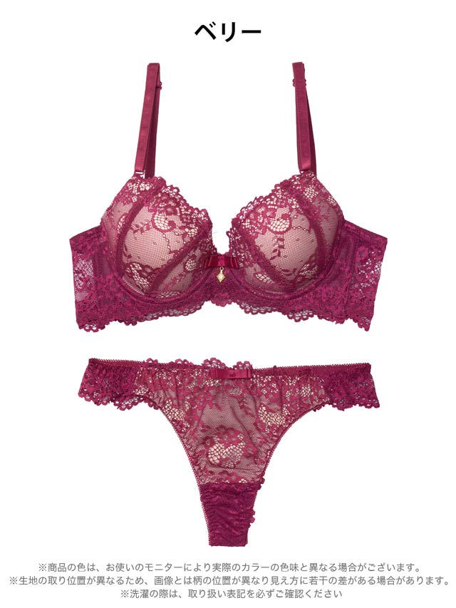 EFサイズ】【Tバック】ヌーディーレース育乳ブラジャー&バック透けT