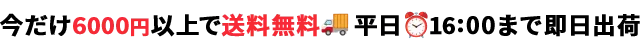 税込6000円以上で送料無料｜平日16:00まで即日出荷