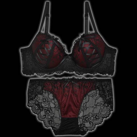 ラディアントコードレース育乳脇高ブラジャー&バック透けフルバックショーツ
