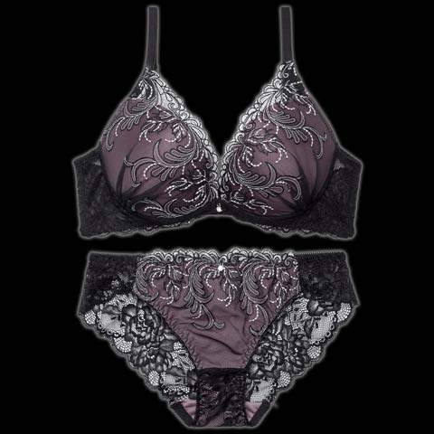 ラディアントコードレース育乳脇高ブラジャー&バック透けフルバックショーツ