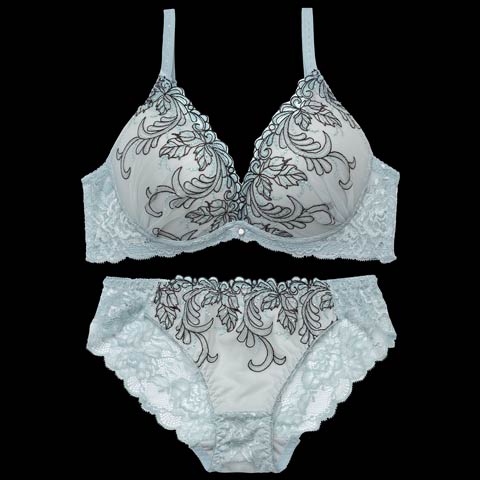 センシュアルネオンリングコード育乳脇高ブラジャー&バック透けフルバックショーツ