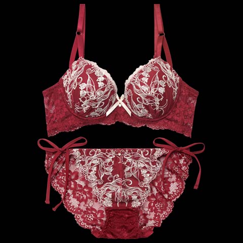 ラディアントコードレース育乳脇高ブラジャー&バック透けフルバックショーツ