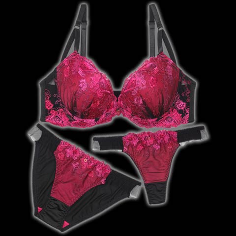 ラディアントコードレース育乳脇高ブラジャー&バック透けフルバックショーツ