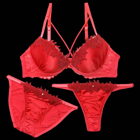 センシュアルネオンリングコード育乳脇高ブラジャー&バック透けフルバックショーツ