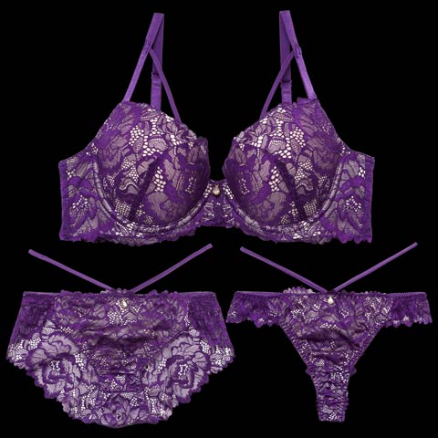 ラディアントコードレース育乳脇高ブラジャー&バック透けフルバックショーツ