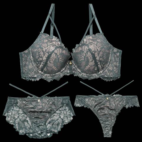 ラディアントコードレース育乳脇高ブラジャー&バック透けフルバックショーツ