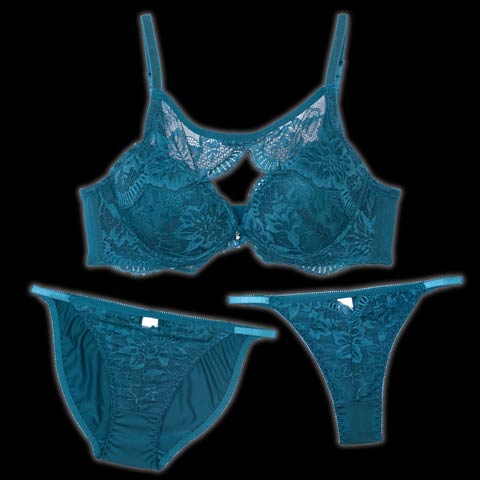 ラディアントコードレース育乳脇高ブラジャー&バック透けフルバックショーツ