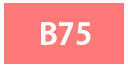 B75サイズ